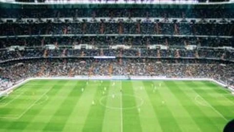 B费创欧联新纪录：进球助攻双丰收，成就制胜之才